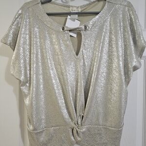 Cato Silver Shimmer Women's Blouse